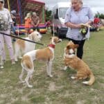 IMG_20220702_153220